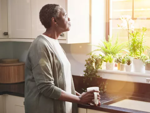 A Woman Stairs Out Her Kitchen Window, Deep in Thought.