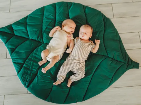 Knox and Ford